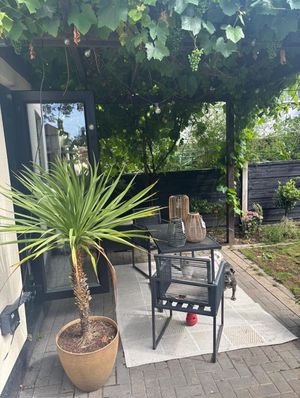 Photo 4- click for photo gallery